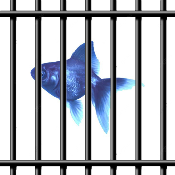 1_Sem_T&iacute;tulo_202410201444574.png